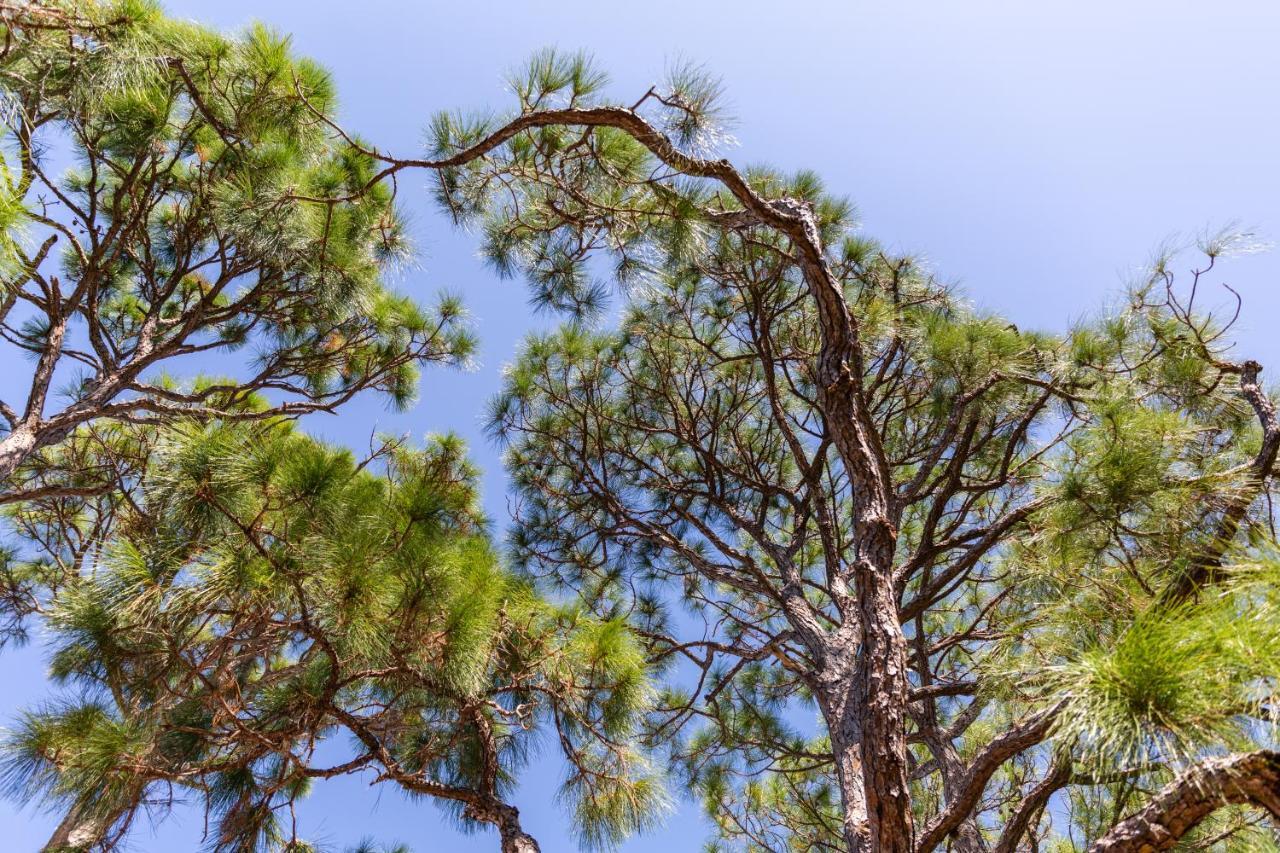 Home By Beach 5 - The Treehouse North North Naples Esterno foto
